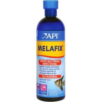 Api melafix, 16 oz, multicolor