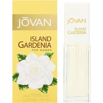 Jovan Island Women's...