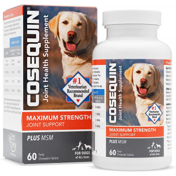 Nutramax Cosequin DS...