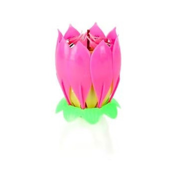 Lotus Flower Musical...