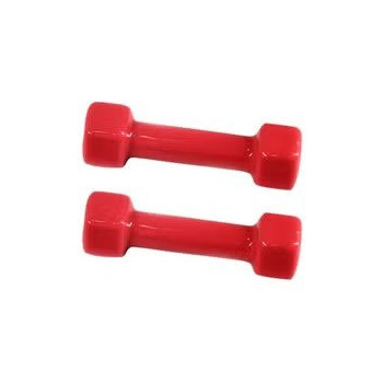 2-Piece Vinyl Dumbbell Set...