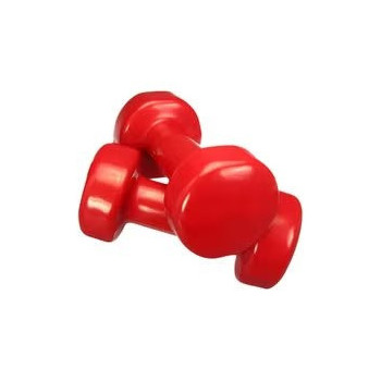 2-Piece Dumbbells Set 2x3kg