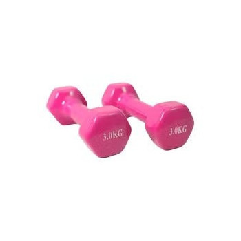 2-Piece Vinyl Dumbbell Set...