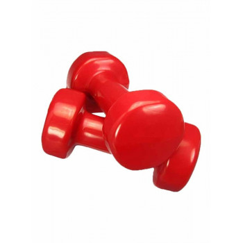 2-Piece Exercise Dumbells 2...