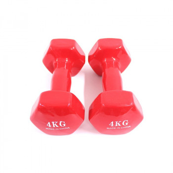 2-Piece Fitness Dumbbells...