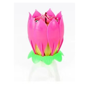 Romantic Musical Lotus...