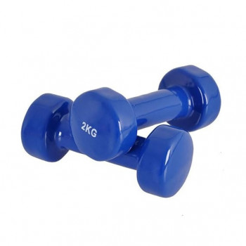Exercise Dumbbells X 2 2kg