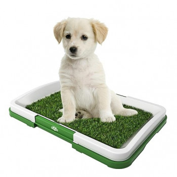Training Tray With Grass...