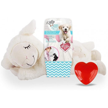 All For Paws Little Buddy...