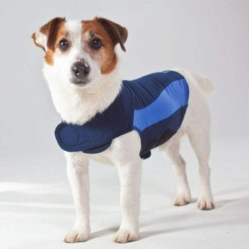 Thunder Shirt Polo, XXS, Blue