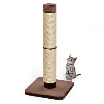 Midwest Feline Nuvo Grand...