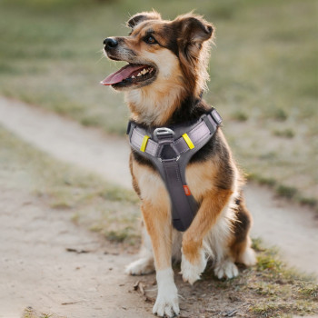 Fida Dog Harness, Small,...