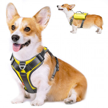 Fida Dog Harness, Medium,...