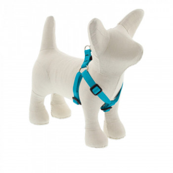 Lupin Pet Small Dog Basics...