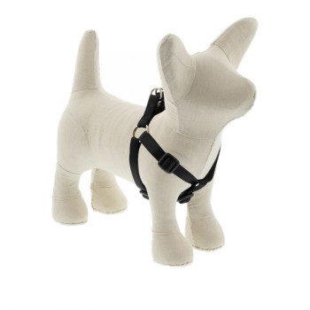 Lupin Pet Small Dog Basics...