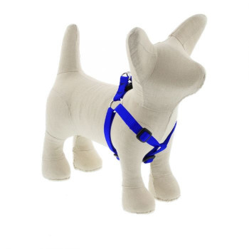 Lupin Pet Small Dog Basics...
