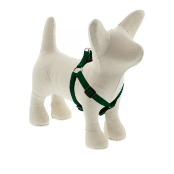 Lupin Pet Small Dog Basics...