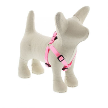Lupin Pet Small Dog Basics...