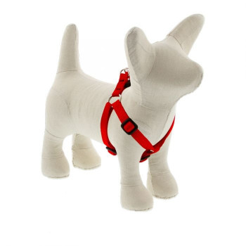 Lupin Pet Small Dog Basics...