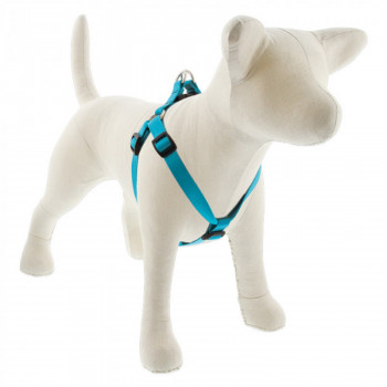 Lupin Pet Medium Dog Basics...