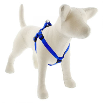 Lupin Pet Medium Dog Basics...