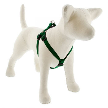 Lupin Pet Medium Dog Basics...