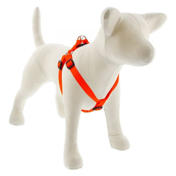 Lupin Pet Medium Dog Basics...