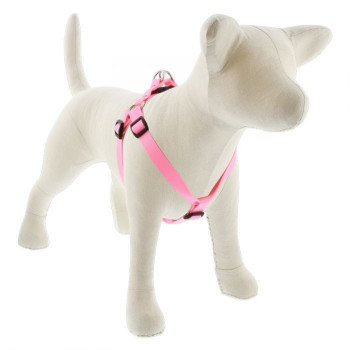 Lupin Pet Medium Dog Basics...