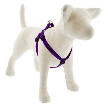 Lupin Pet Medium Dog Basics...