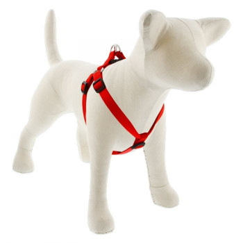 Lupin Pet Medium Dog Basics...