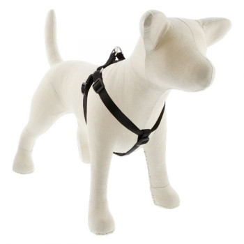 Lupin Pet Medium Dog Basics...