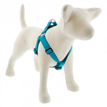 Lupin Pet Large Dog Basics...