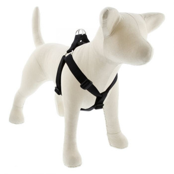 Lupin Pet Large Dog Basics...