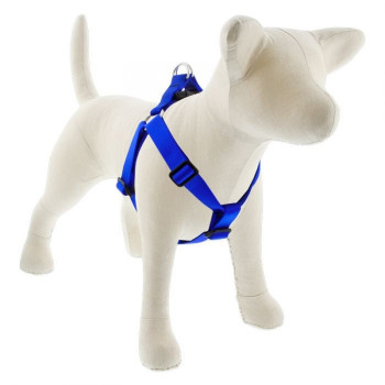 Lupin Pet Large Dog Basics...