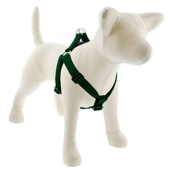 Lupin Pet Large Dog Basics...