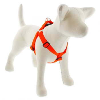 Lupin Pet Large Dog Basics...