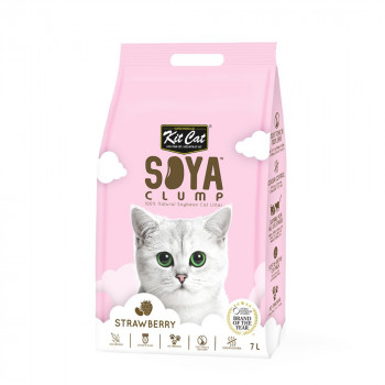 Kit Cat Soya Clump Soybean...